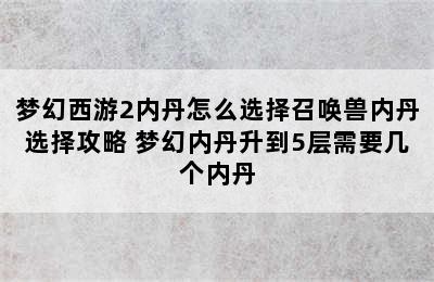 梦幻西游2内丹怎么选择召唤兽内丹选择攻略 梦幻内丹升到5层需要几个内丹